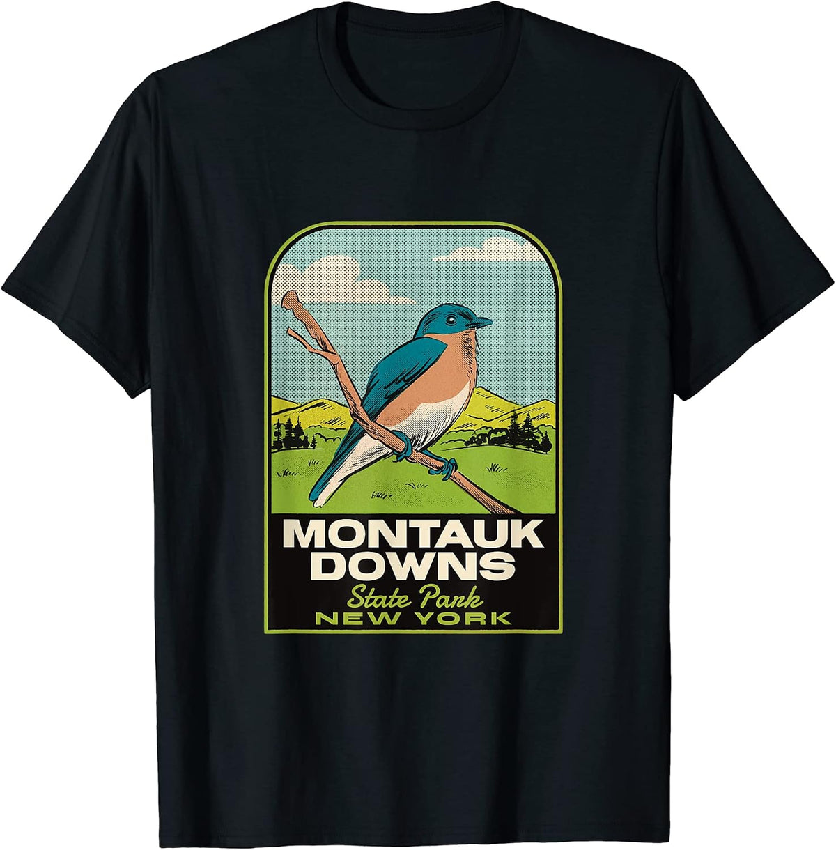 Montauk Downs State Park Merch