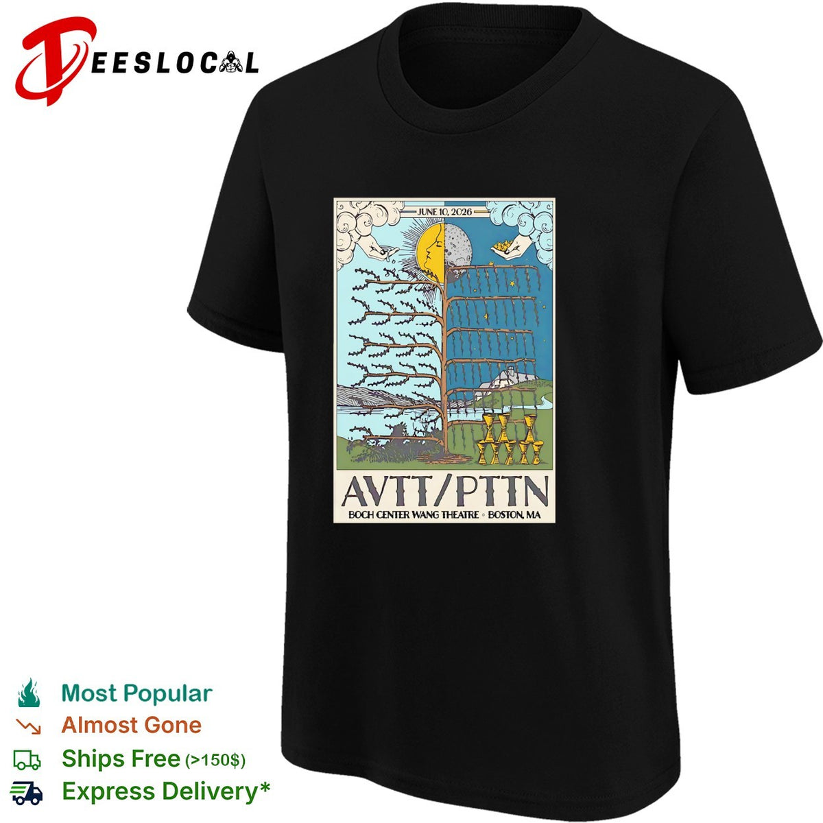 AVTT PTIN Boch Center Wang Theatre Boston MA concert shirt