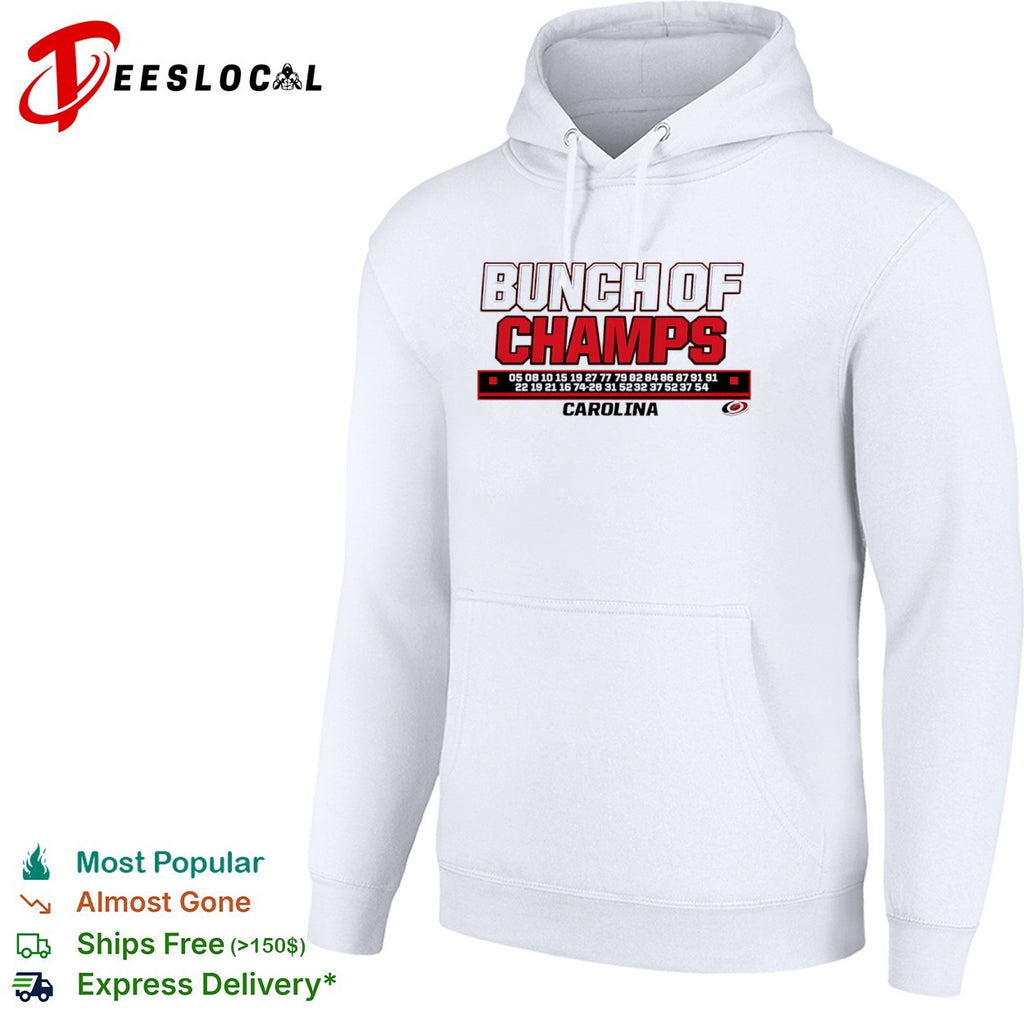 Carolina Hurricanes ice hockey bunch of champs shirt