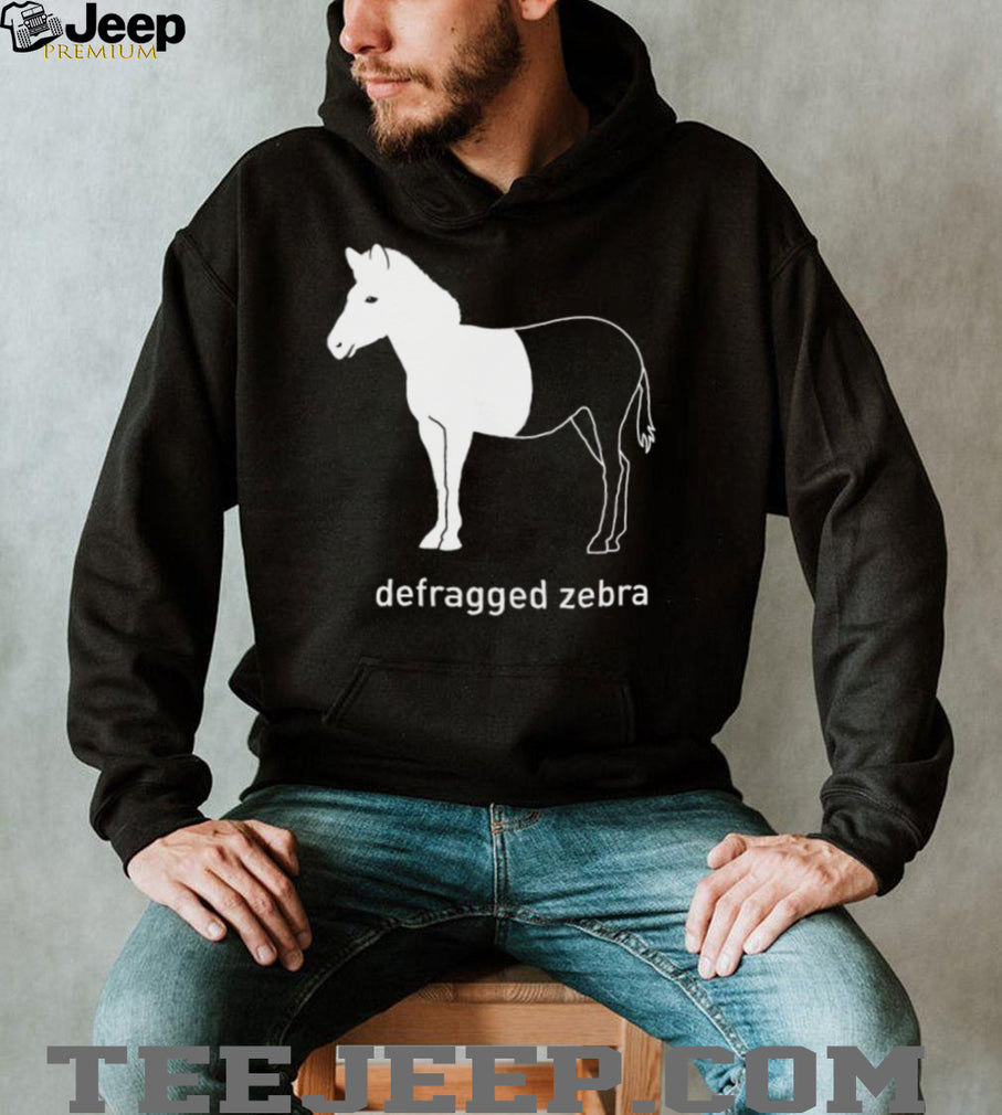Defragged Zebra Funny Computer Science IT Nerd Humor T Shirt