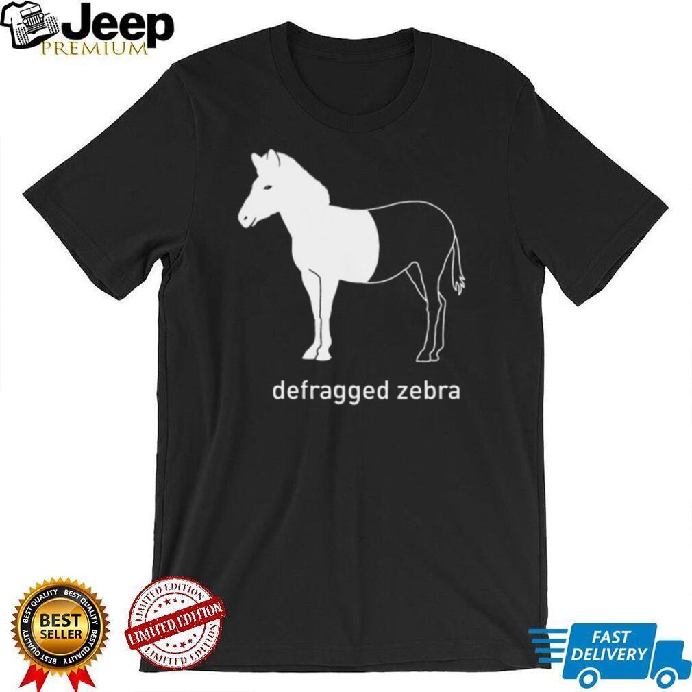 Defragged Zebra Funny Computer Science IT Nerd Humor T Shirt