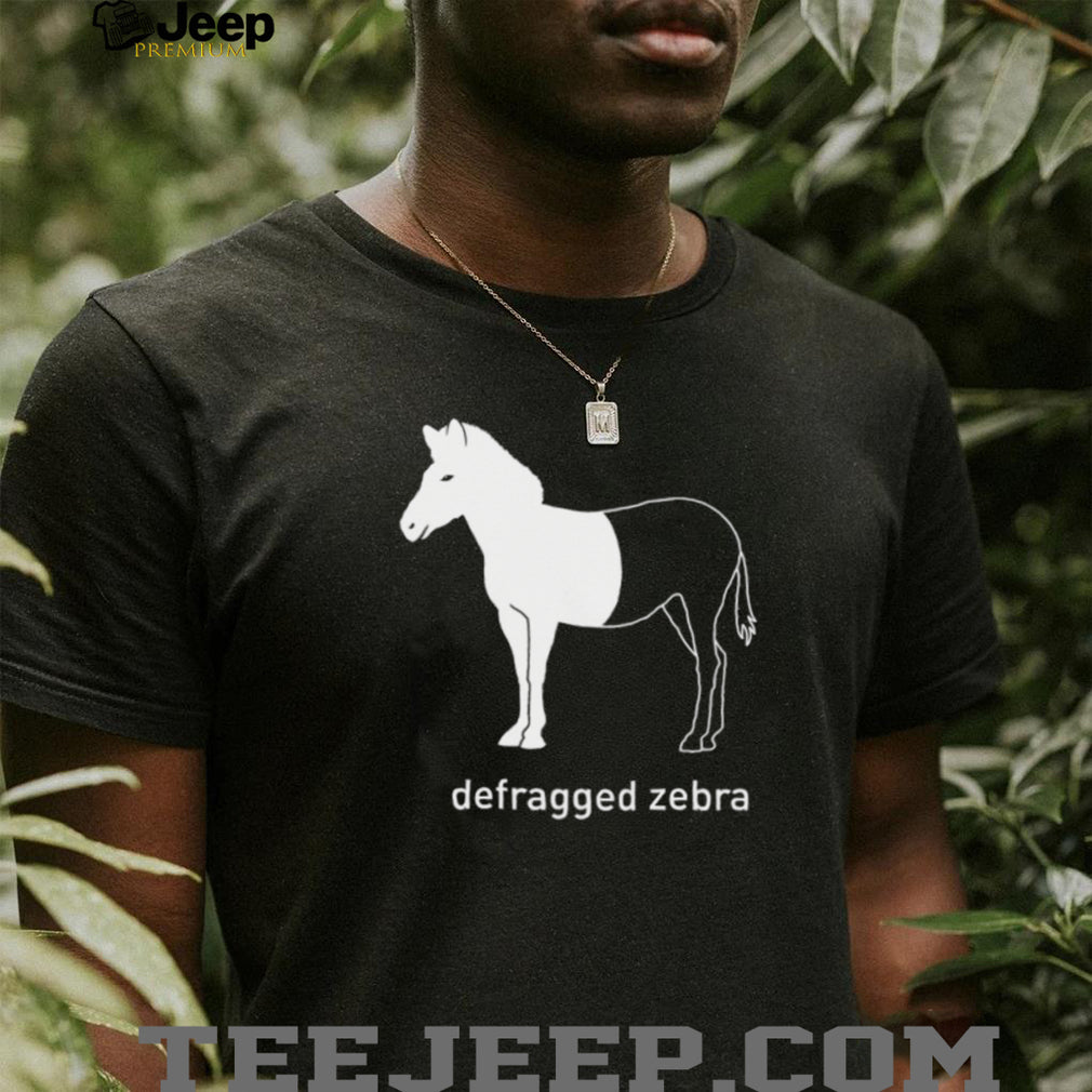 Defragged Zebra Funny Computer Science IT Nerd Humor T Shirt