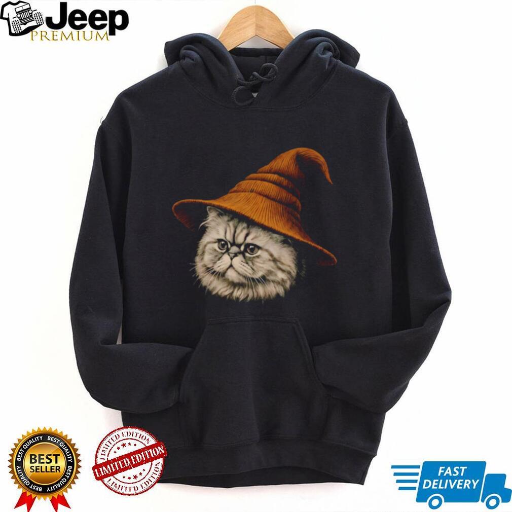 Fluffy Persian Cat Wizard Hat Magic Halloween Costume T Shirt
