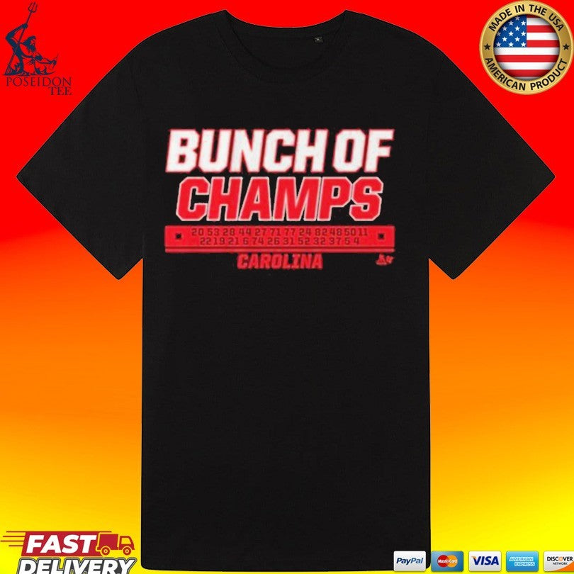 Bunch Of Champs Carolina Hockey Names 2026 Champs T-shirt