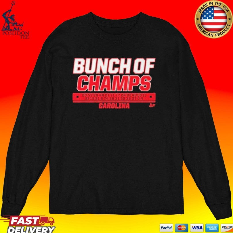 Bunch Of Champs Carolina Hockey Names 2026 Champs T-shirt