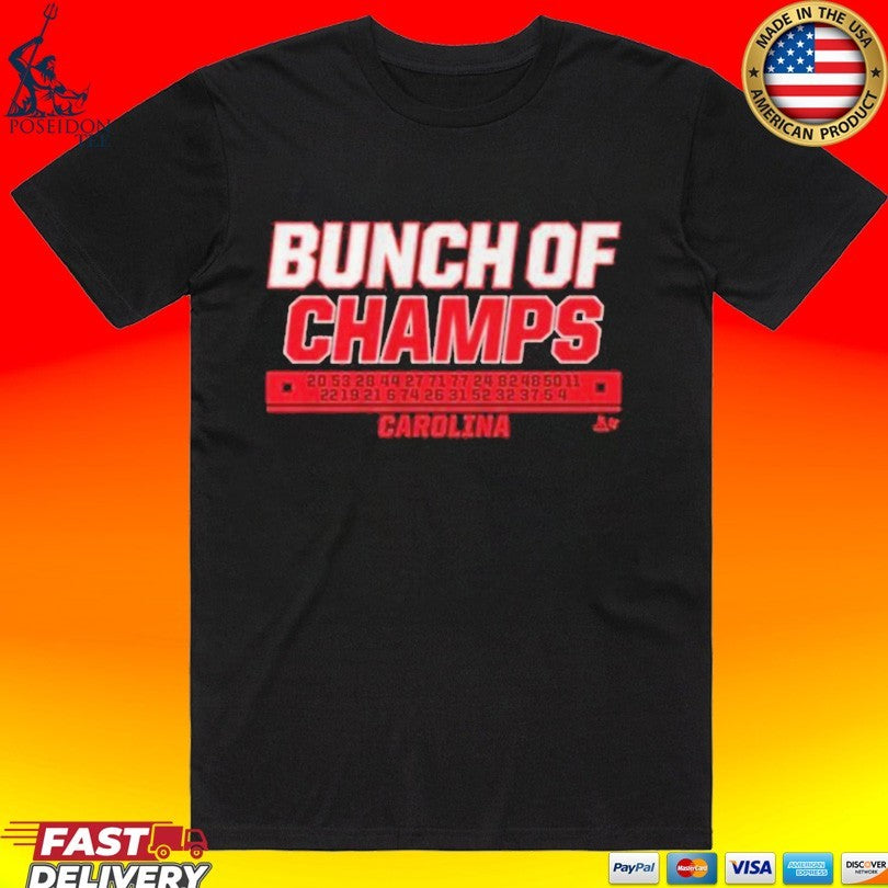 Bunch Of Champs Carolina Hockey Names 2026 Champs T-shirt