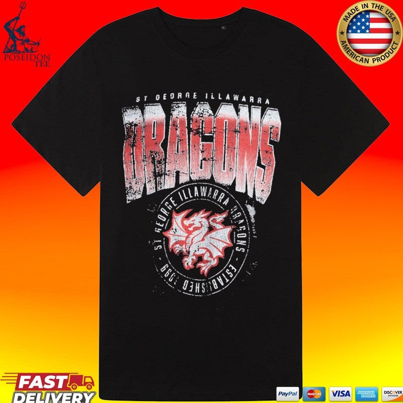 Dragons Adult Washed T-shirt
