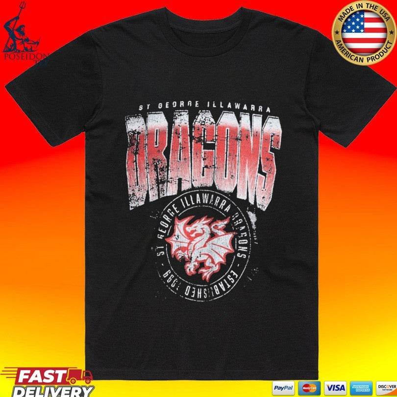 Dragons Adult Washed T-shirt
