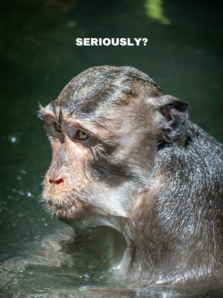 Seriously Monkey Meme – Funny Annoyed Reaction Animal by WildFrameNature