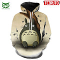 My Neighbor Totoro Ghibli Presents Streetwear HD 3D AOP Hoodie