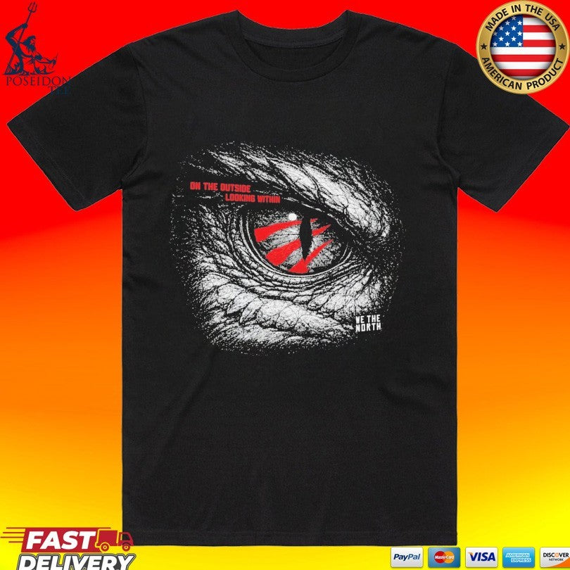 On The Outside Looking Within Toronto Raptors Playoffs T-shirt