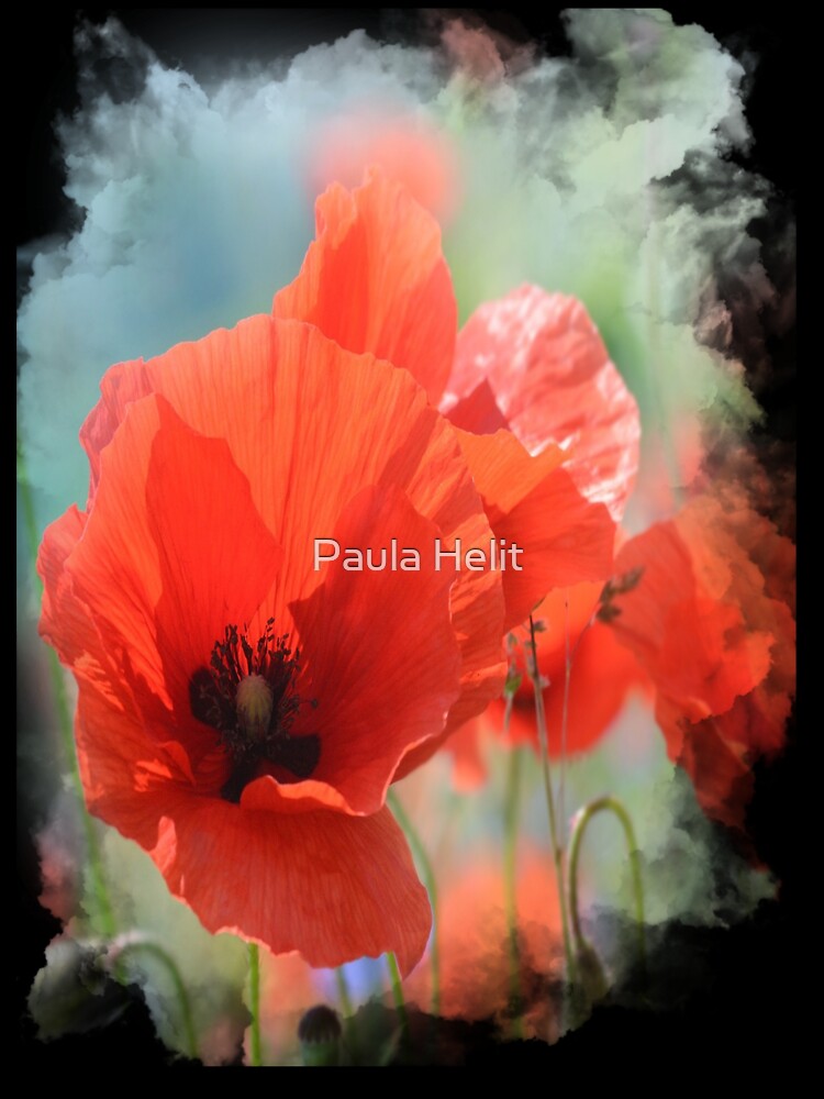 Colorful Poppy Floral Graphic by Paula Helit