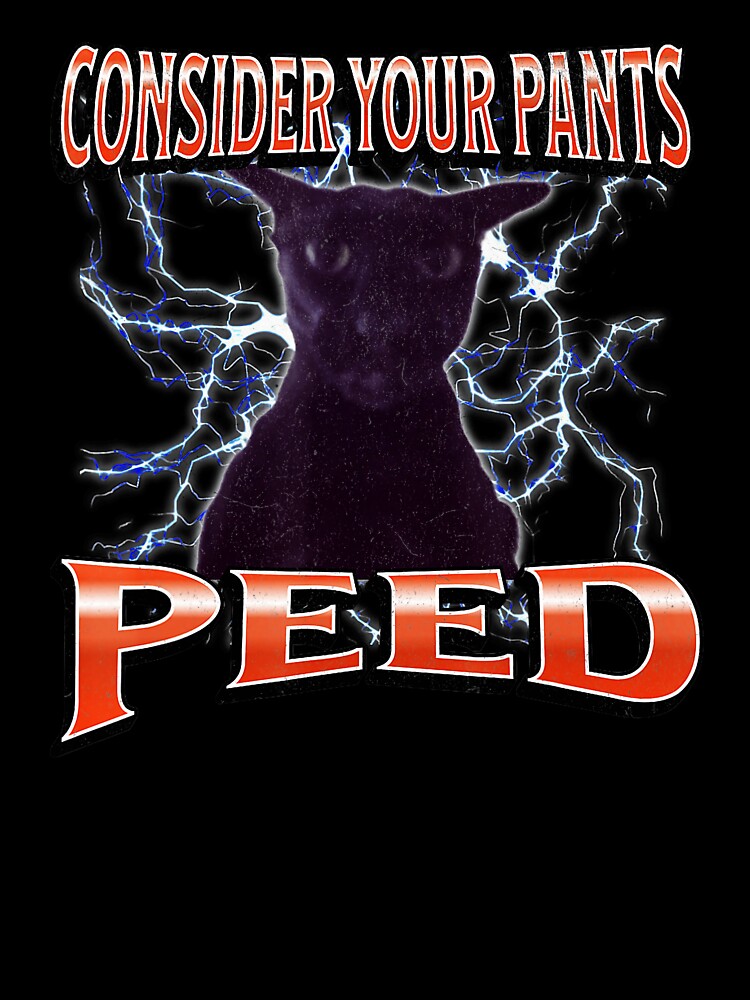 Consider Your Pants Peed Funny Cat Meme by tadmercado