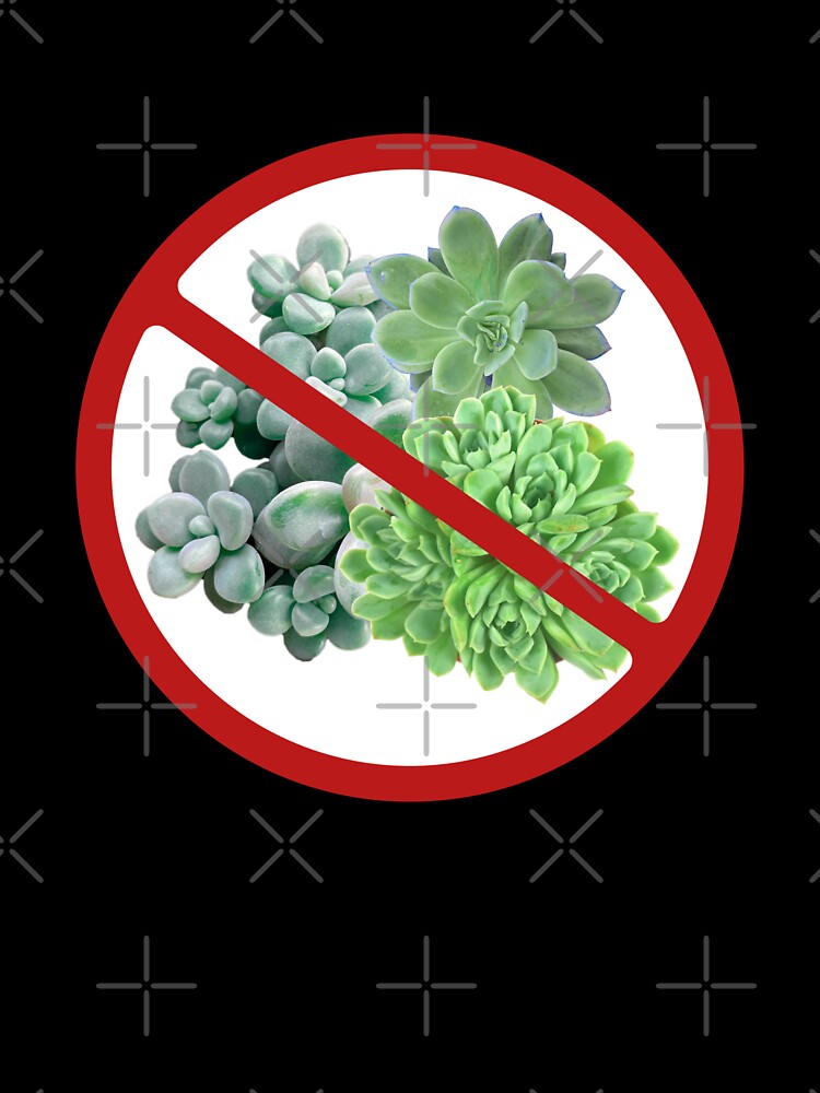 Prohibited Sign Succulents, Novelty Signage, Cacti by AASparksDesigns