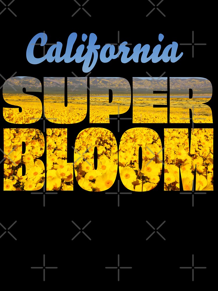 Superbloom - Carrizo Plain by MH65Designs