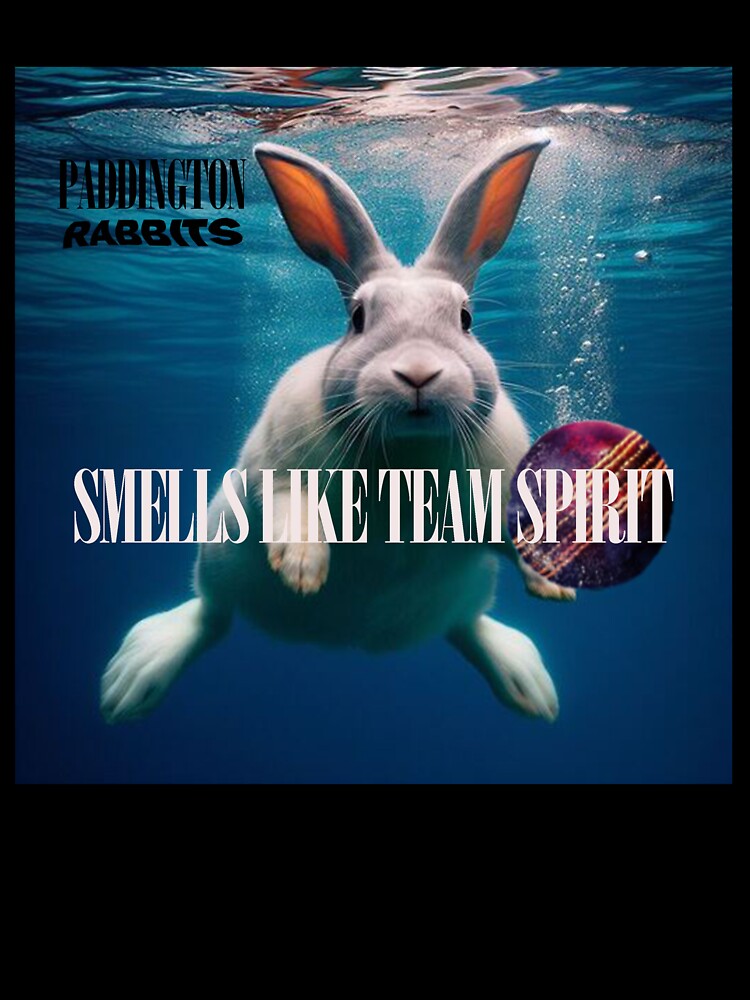 Team Spirit Tee by PadRabbits