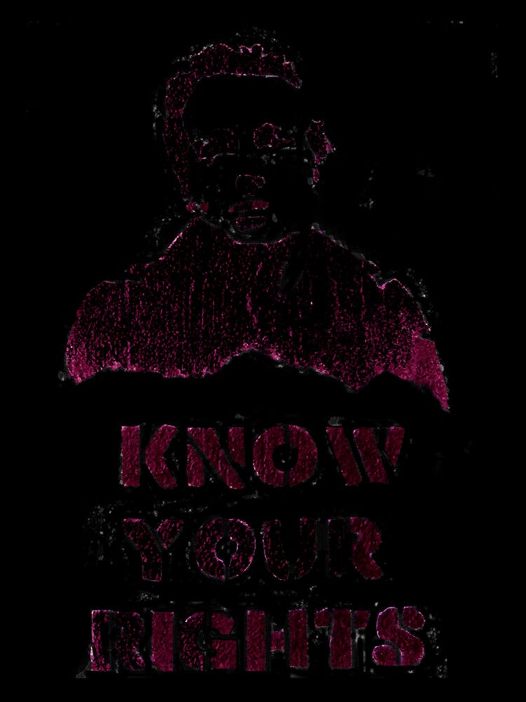 Strummer ~ Know Your Rights by Lindaunningham