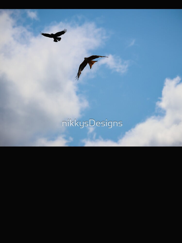 Red Kite and Crow Against Sunny Cloud by nikkysDesigns