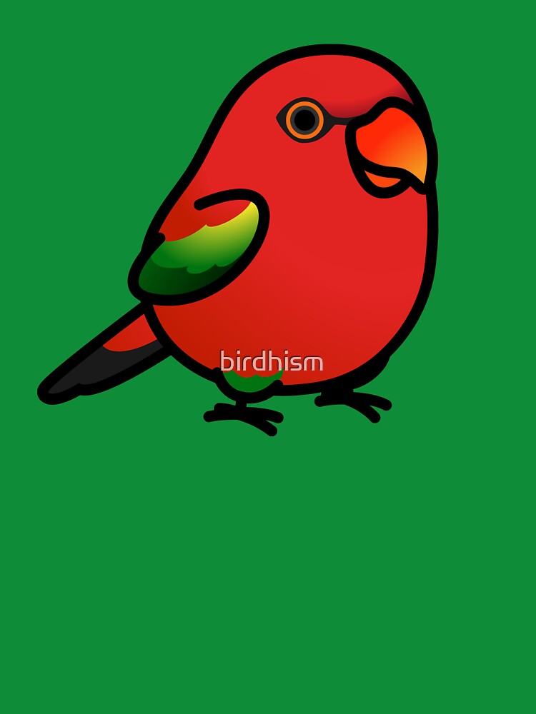 Chubby Chattering Lory Lorikeet by birdhism