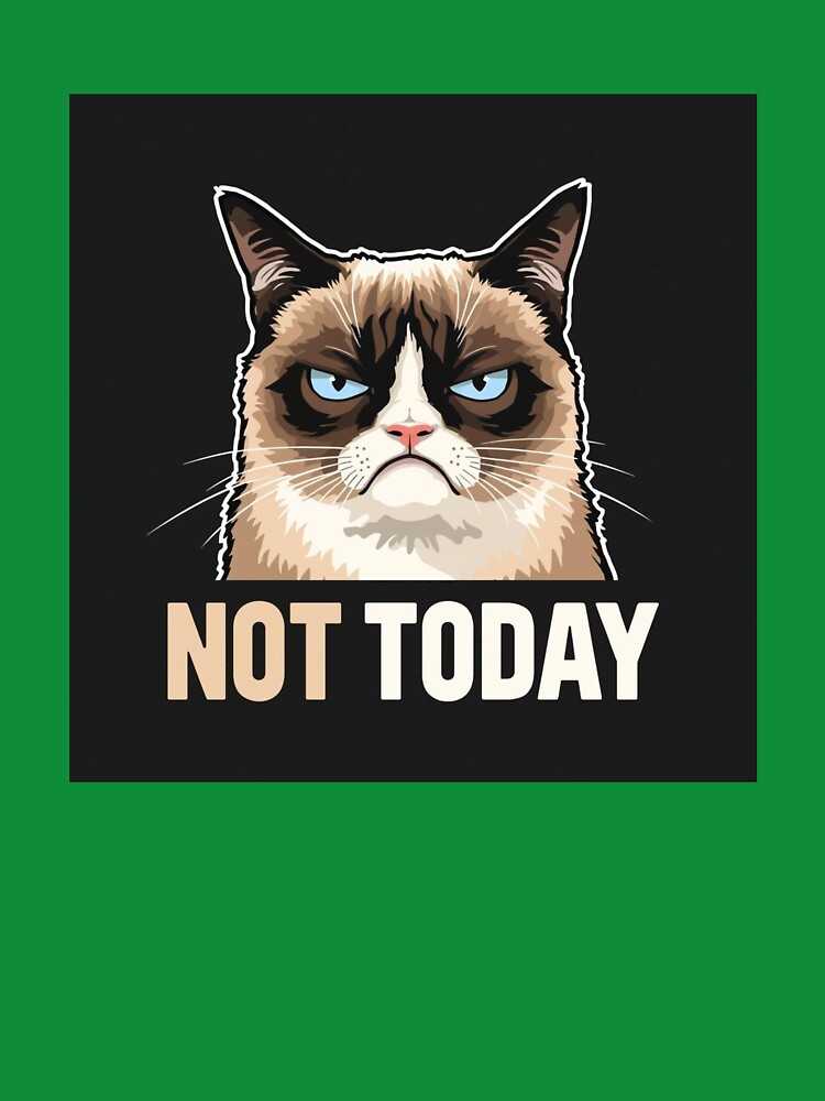 Not Today Scowling Cat Minimalist Design by PunchlinePress
