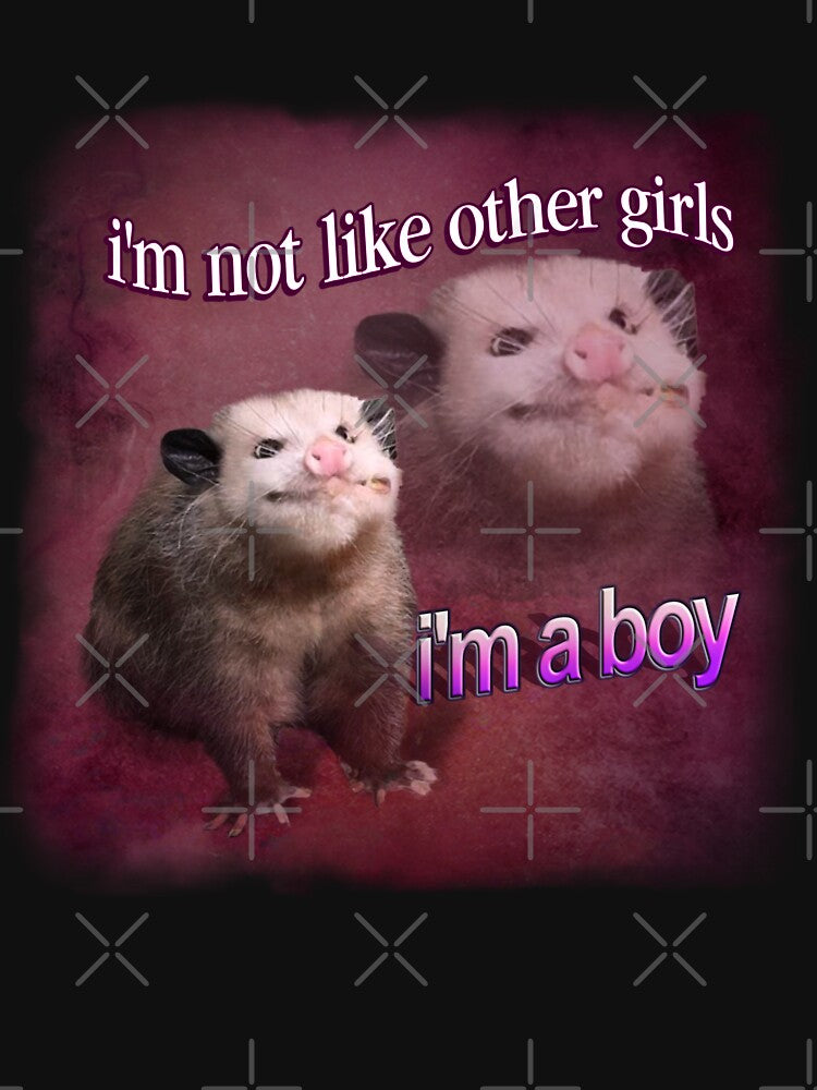 I'm not like other girls, I'm a boy possum word art by snazzyseagull