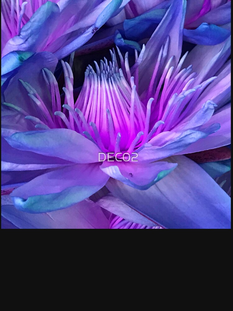 Tropical Hawaiian Luxurious Lilac And Pink Flower Art Photo by DEC02