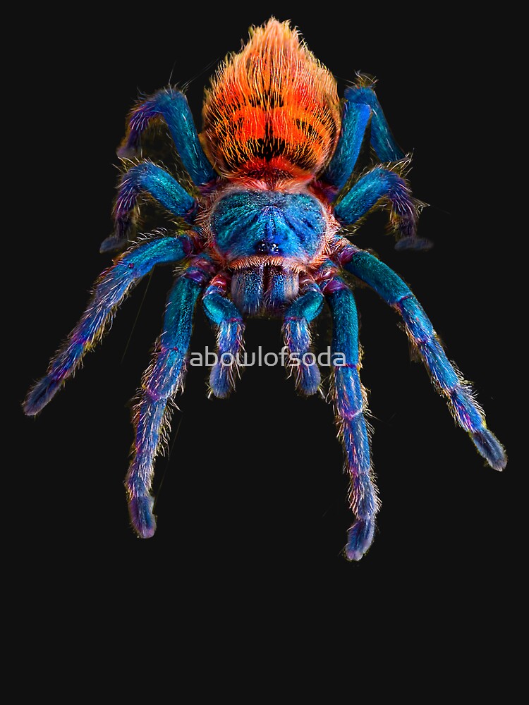 Green Bottle Blue Tarantula by abowlofsoda