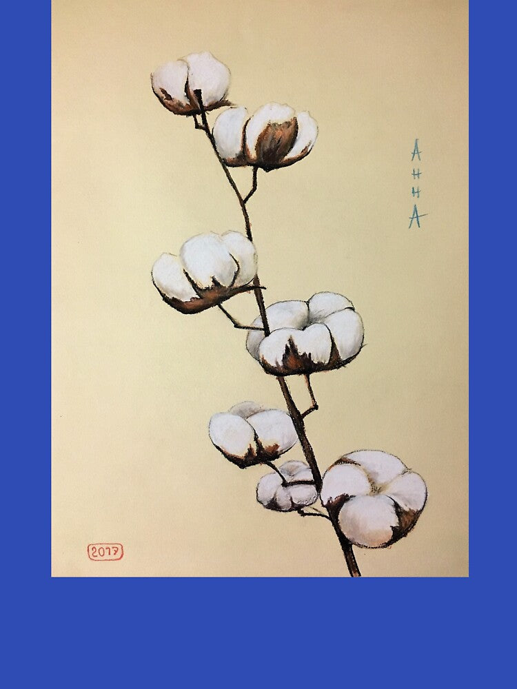 Cotton, cotton blooming, cotton flower by Ranisha