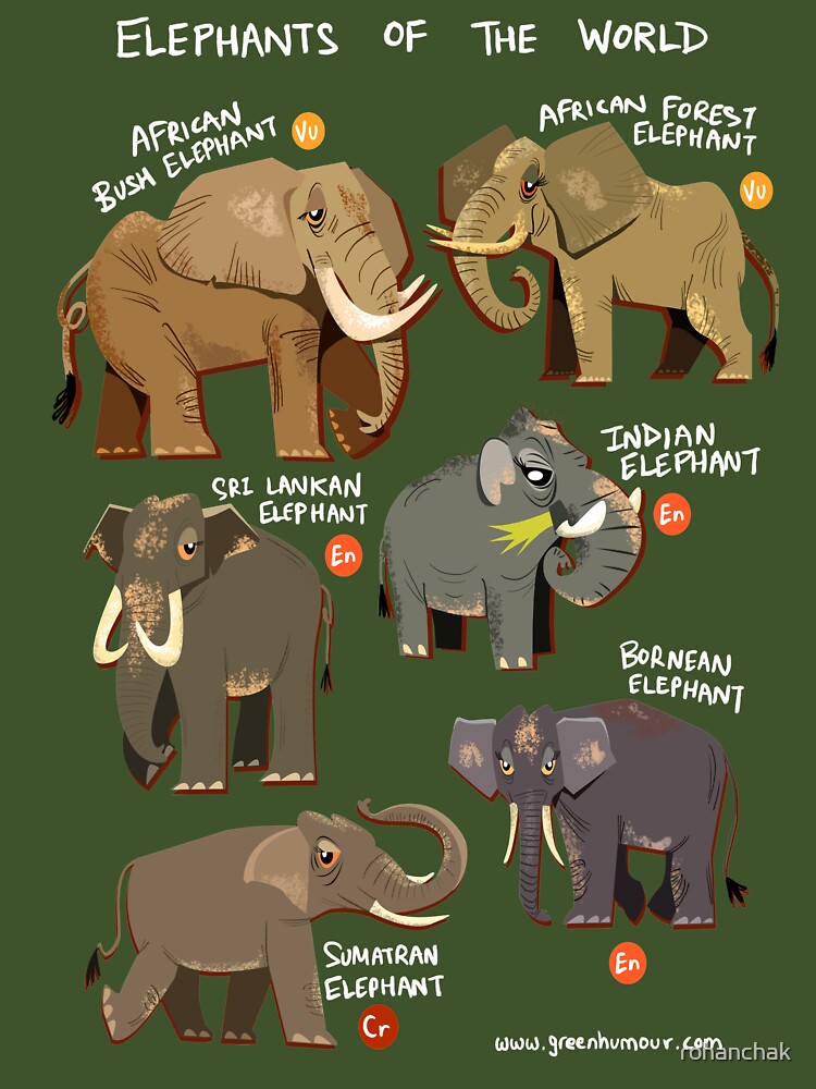 Elephants of the World by Green Humour