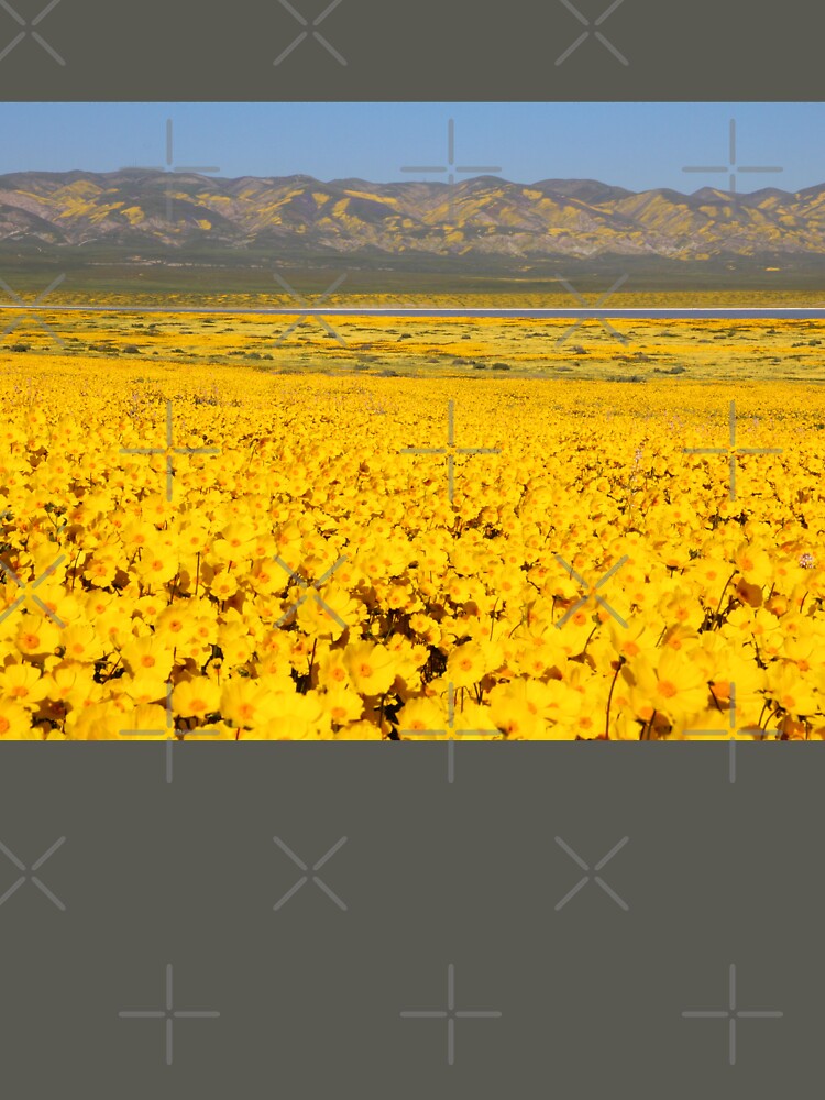 Superbloom - Golden Fields of the Carrizo Plain by MH65Designs