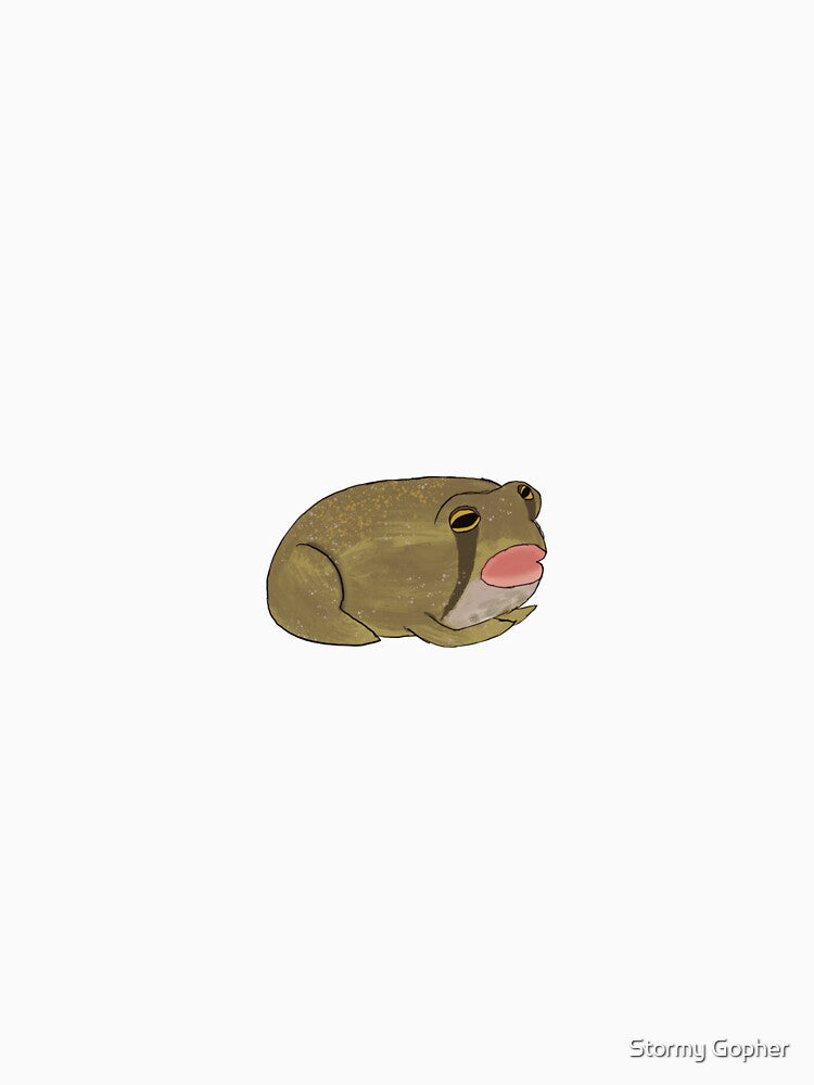 Frog by Stormy Gopher
