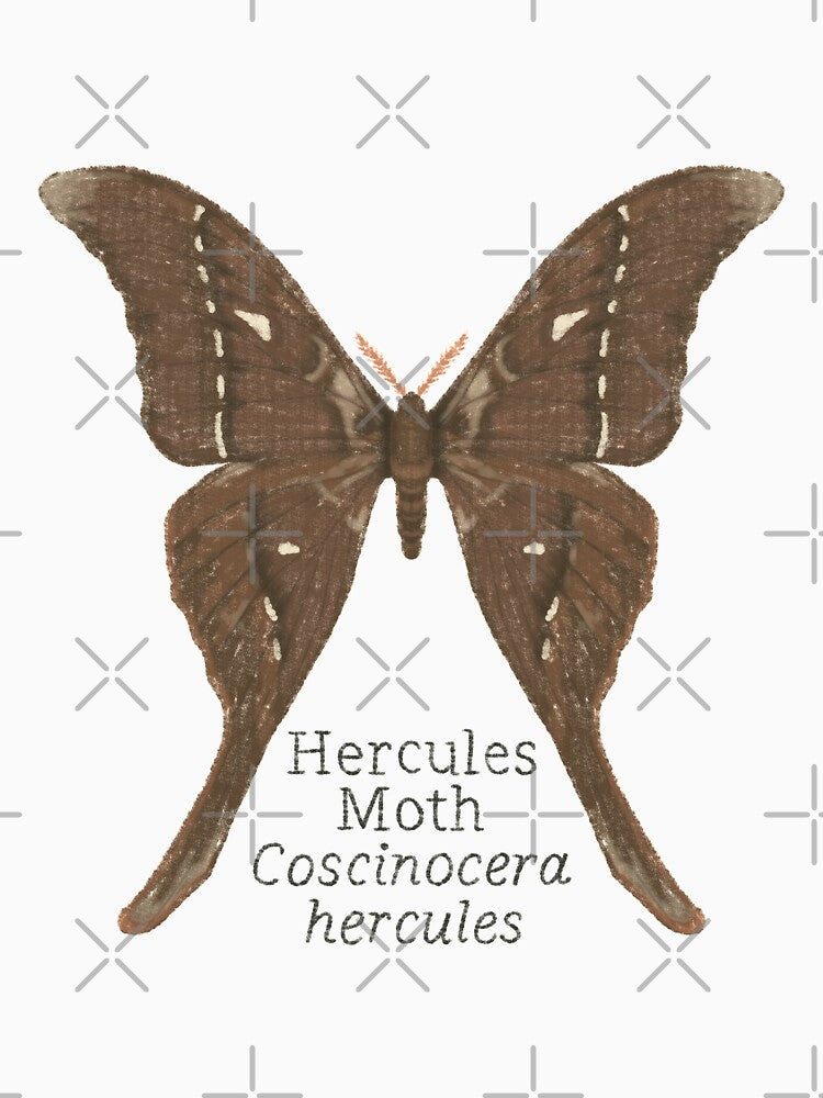 Hercules Moth by WyrdandWoven