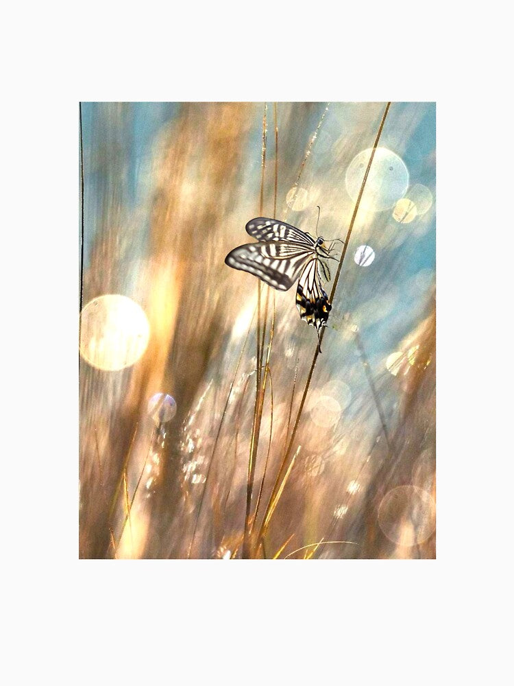 Flutter by by DerekEntwistle