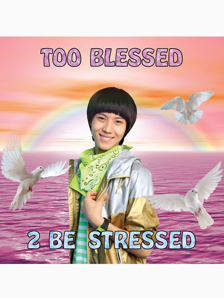 2 blessed 2 be stressed by nikkidyer