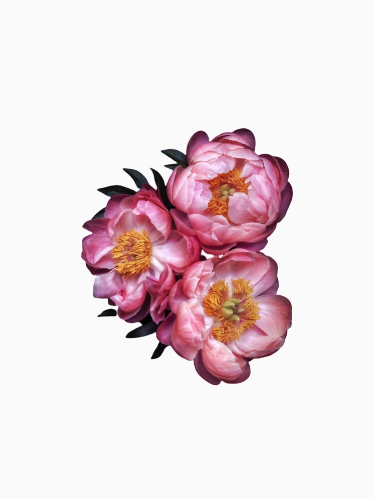 peonies by NouzaArt55