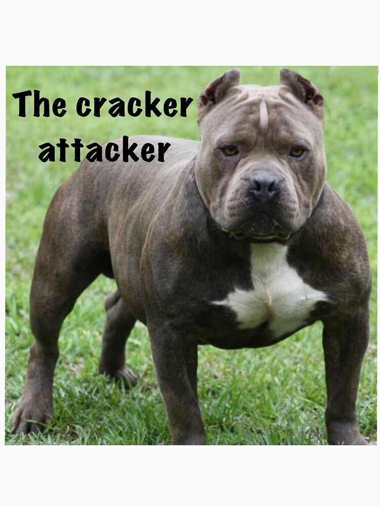 The cracker attacker by Funnymaybe