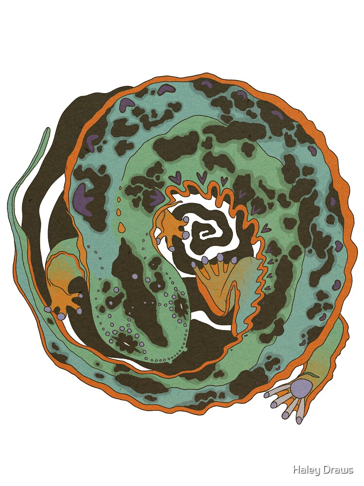 Eastern Hellbender by Haley Draws