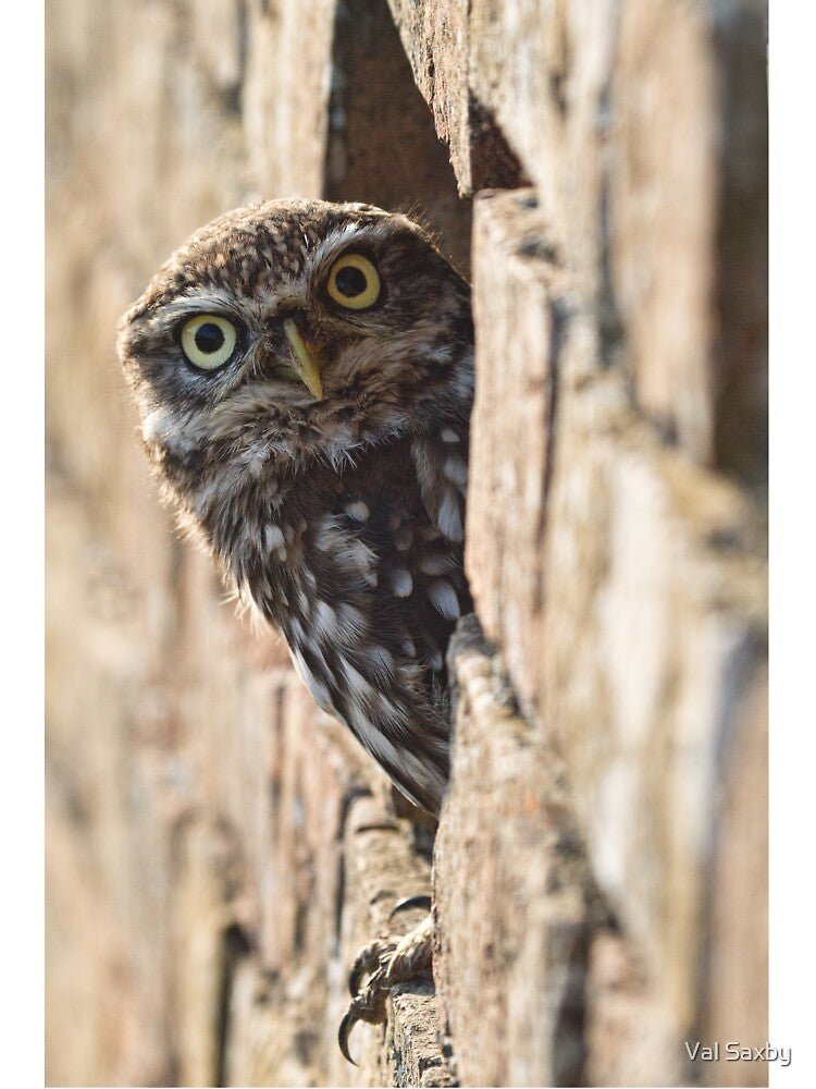 What you looking at by Val Saxby
