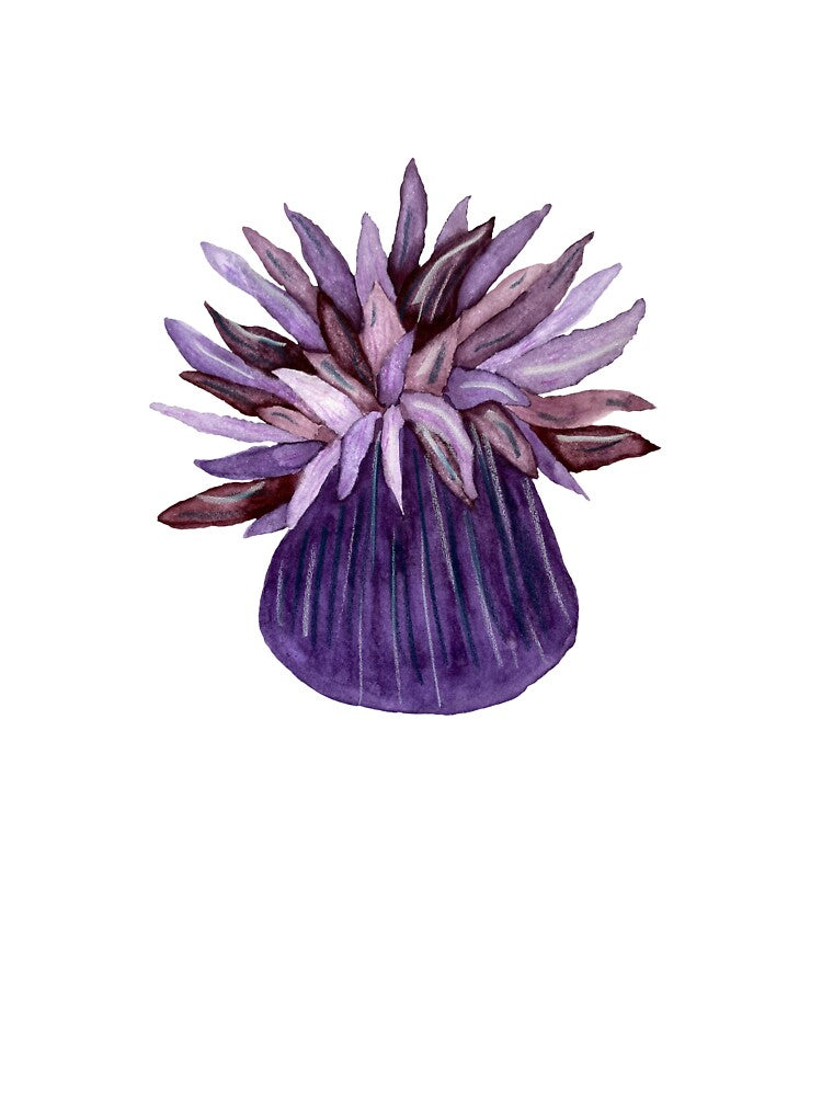 Coral flower violet ocean reef watercolor sketch by Yana Mustafina | Boho Soulful Designs