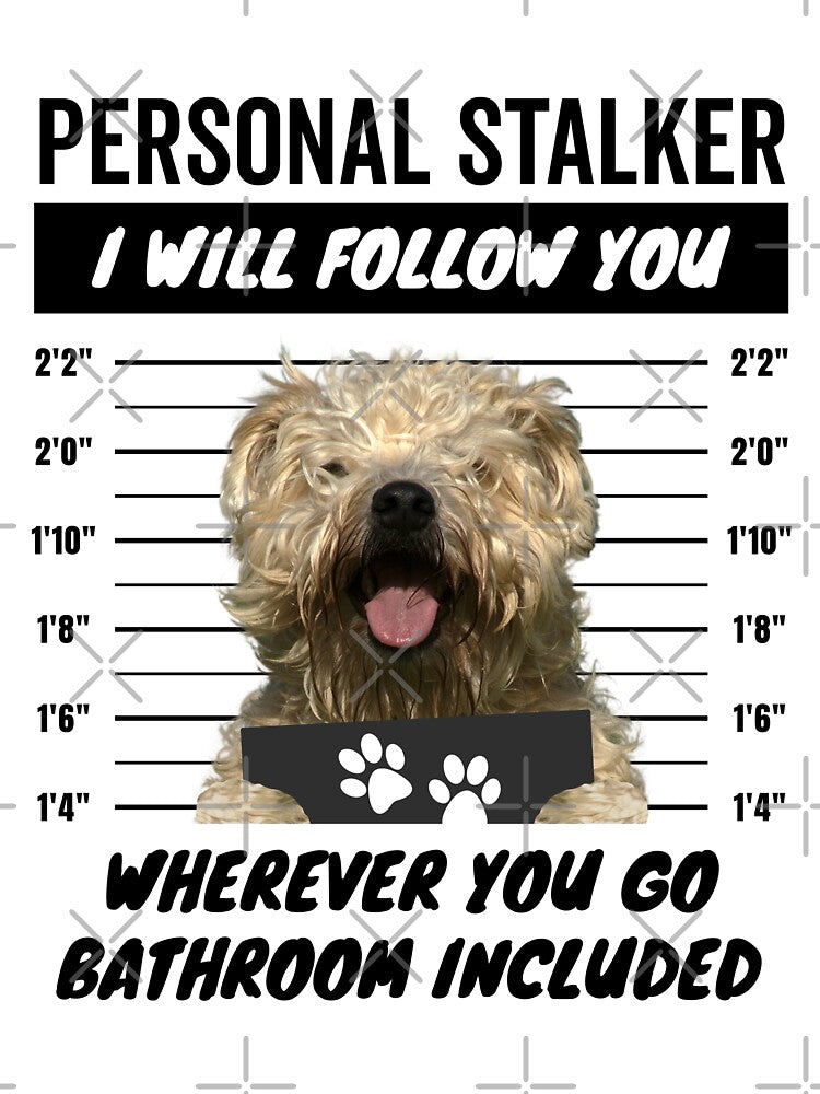 Personal Stalker Dog – Soft Coated Wheaten Terrier by More Cute Dogs