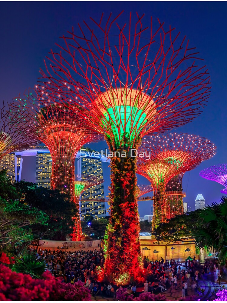 Light show at the Supertree Grove in Singapore Gardens by the Bay at sunset by SvetlanaSF