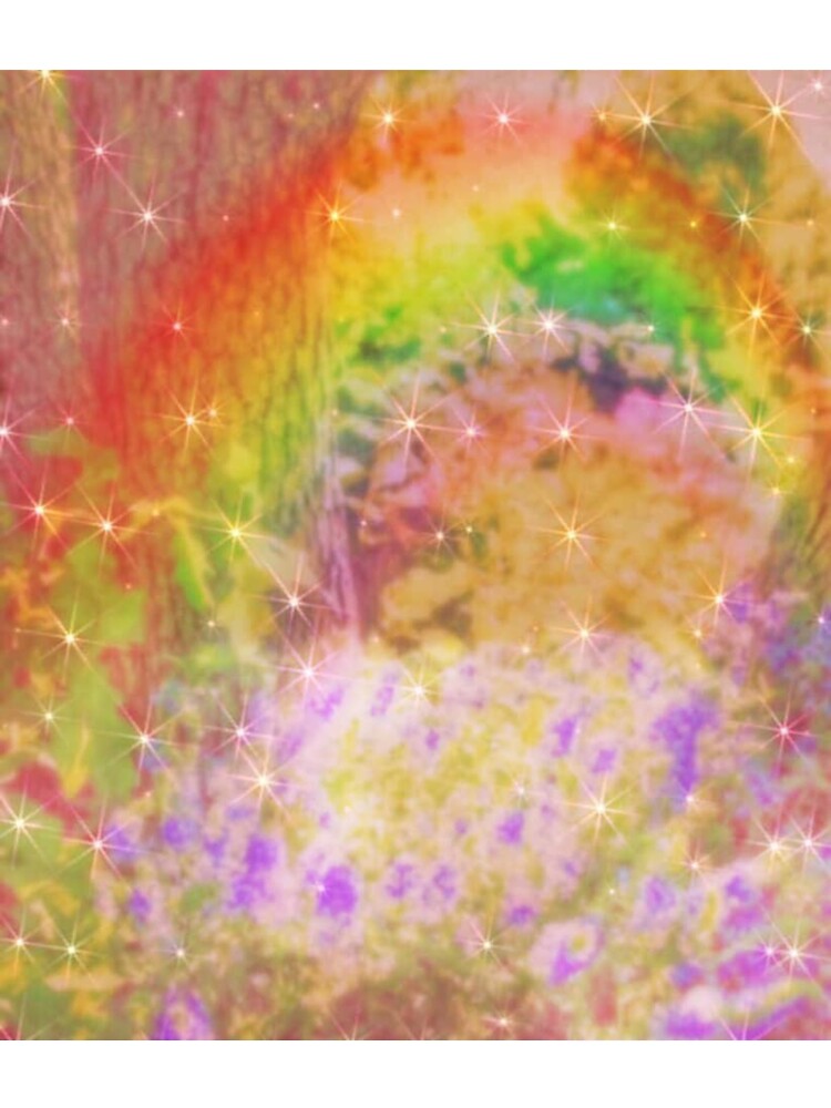 Rainbow in a garden by LisaMPierce1990