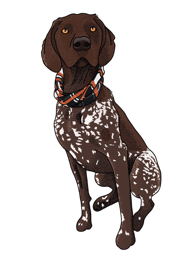 German Shorthaired Pointer by mia-is-kool