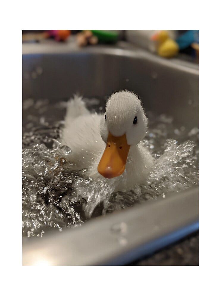 The Giant Duck by hub.