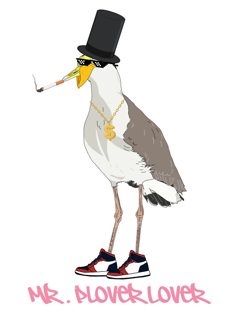 Mr. Plover Lover by kanamalukaWild