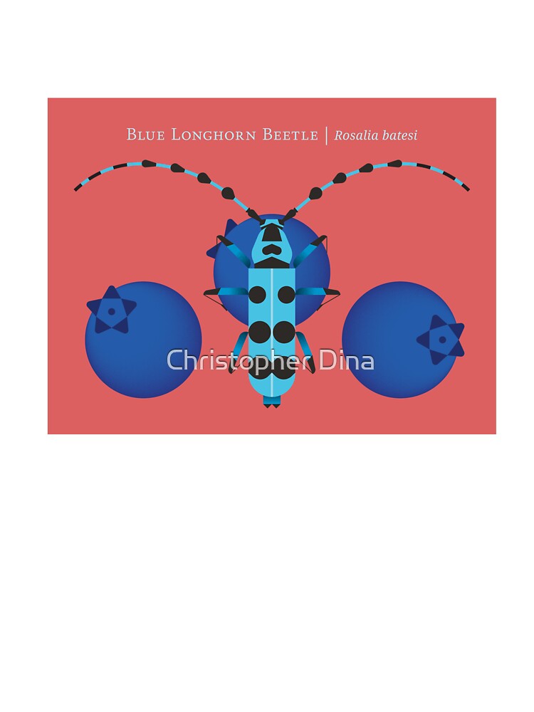 Nature: Blue Longhorn Beetle by Christopher Dina