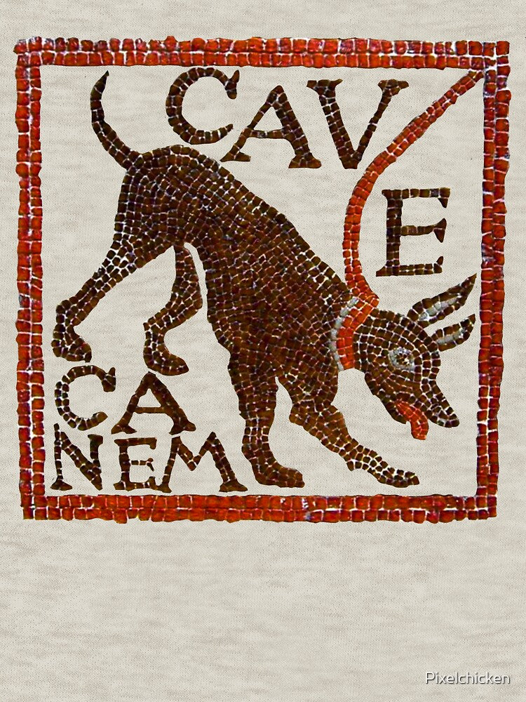 Antique Roman Mosaic Cave Canem Beware The Dog by Pixelchicken