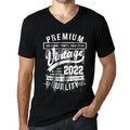 Men's Graphic T-Shirt V Neck Original Parts (Mostly) Aged to Perfection 2022 2nd