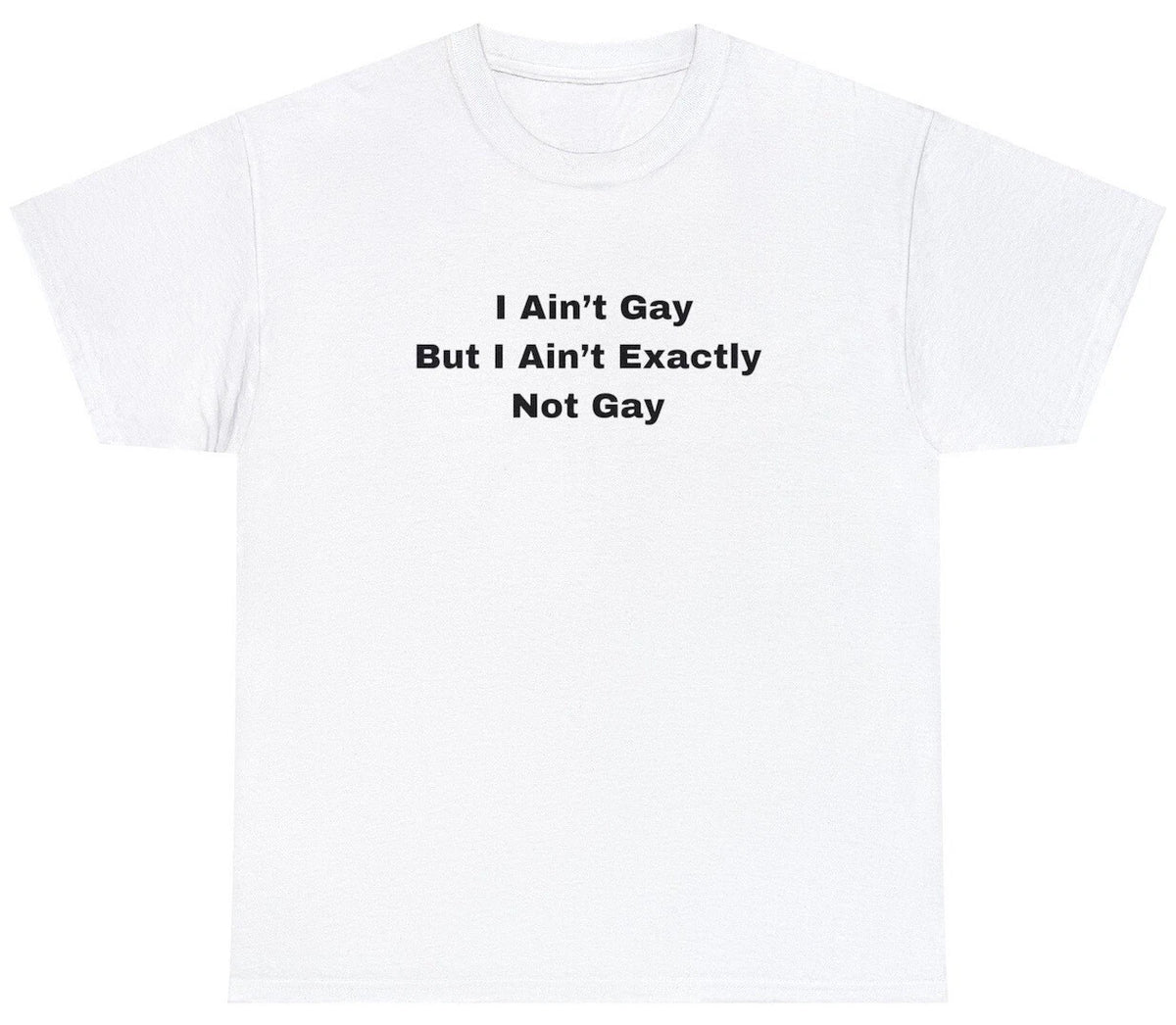 Funny Meme TShirt, I Ain't Gay But I Ain't Exactly Not Gay LGBTQ Joke Gift Tee