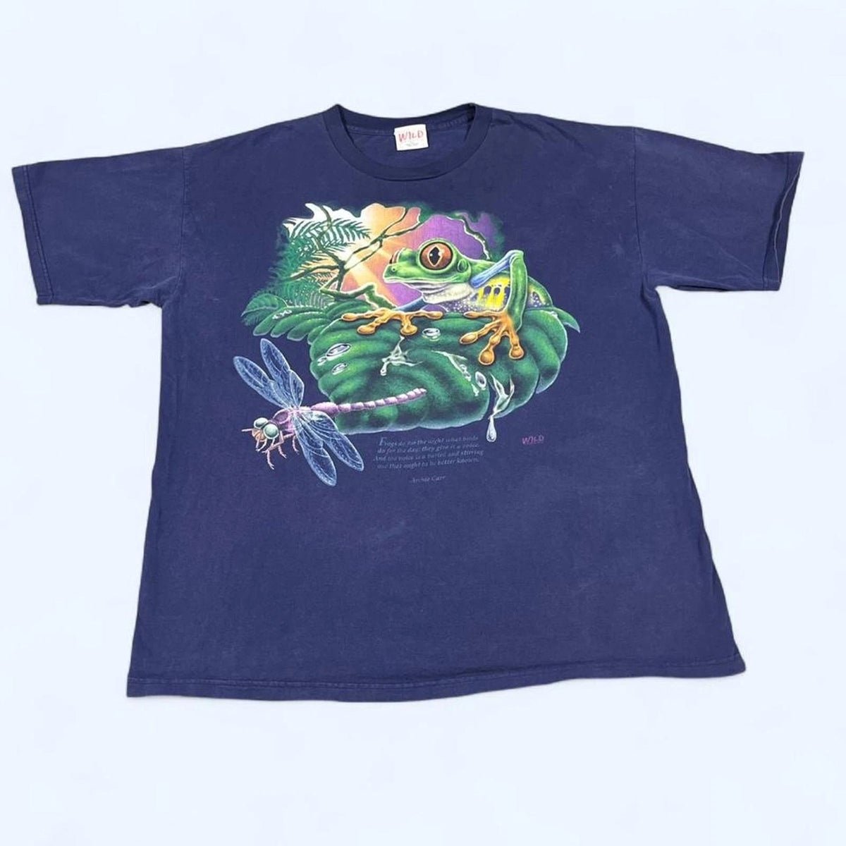 Vintage 90s Frog Graphic Nature T-Shirt Blue Outdoor Tee Mens Size XL USA